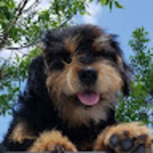 Meet your Posher, Talia